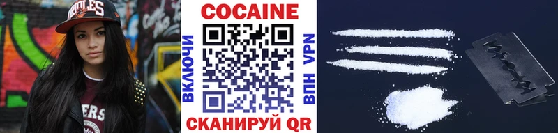 COCAIN FishScale  Купить закладки  Судогда 