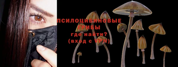молекула духа Горно-Алтайск