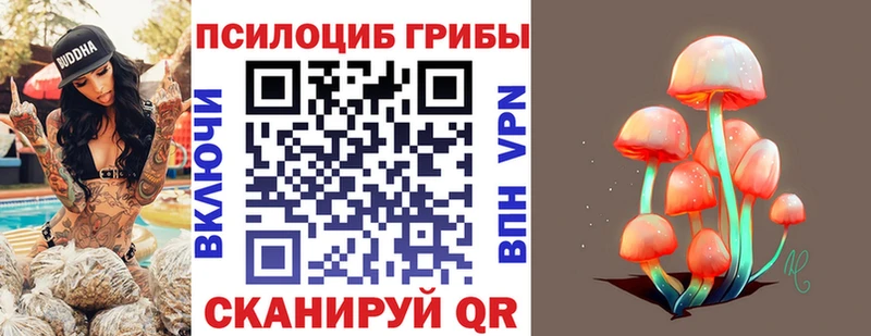 Галлюциногенные грибы мицелий  Купить где  Судогда 