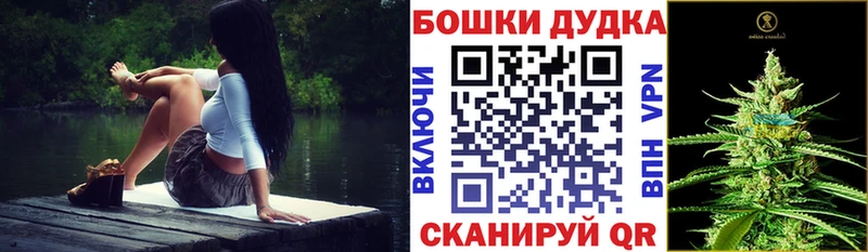 Бошки Шишки индика  Купить где  Судогда 